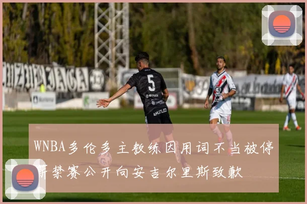 WNBA多伦多主教练因用词不当被停薪禁赛公开向安吉尔里斯致歉