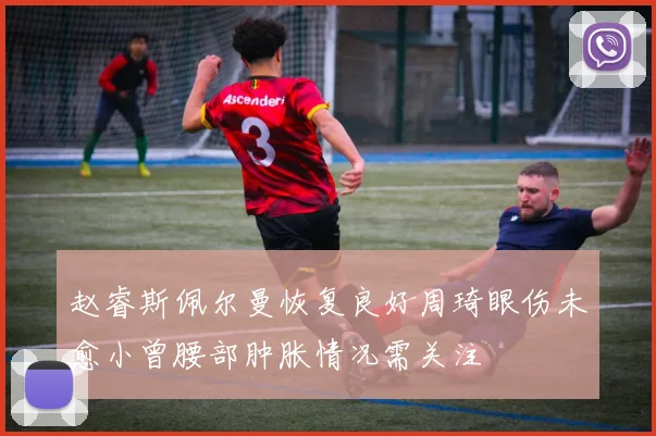 赵睿斯佩尔曼恢复良好周琦眼伤未愈小曾腰部肿胀情况需关注